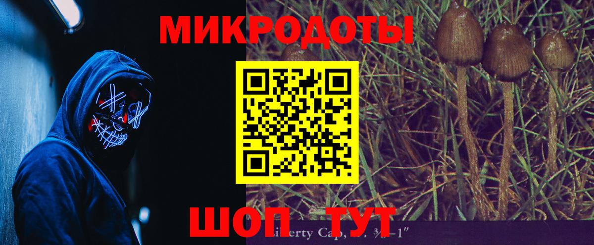Воскресенск  Галлюциногенные грибы Psilocybine cubensis  Вход с VPN 